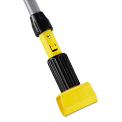 RCP H245