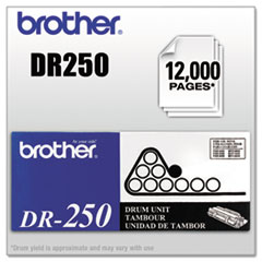 BRTDR250